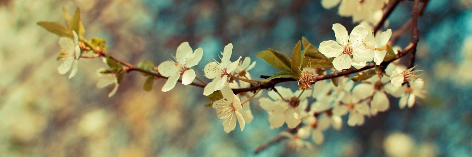 ansley210's profile banner image