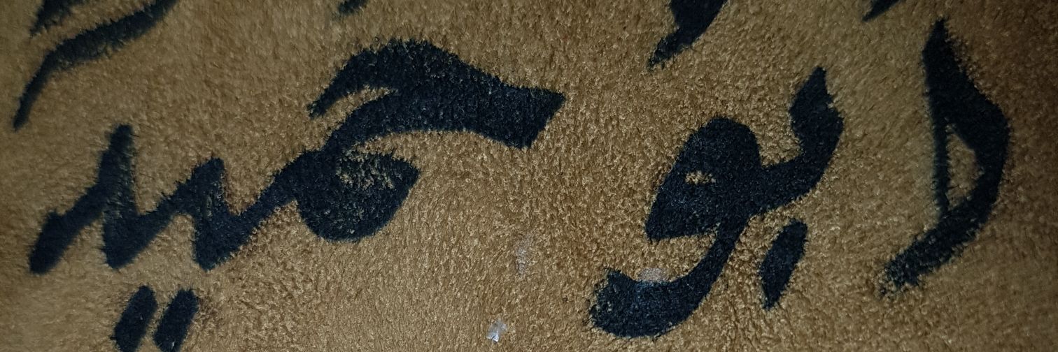 alialabri2's profile banner image