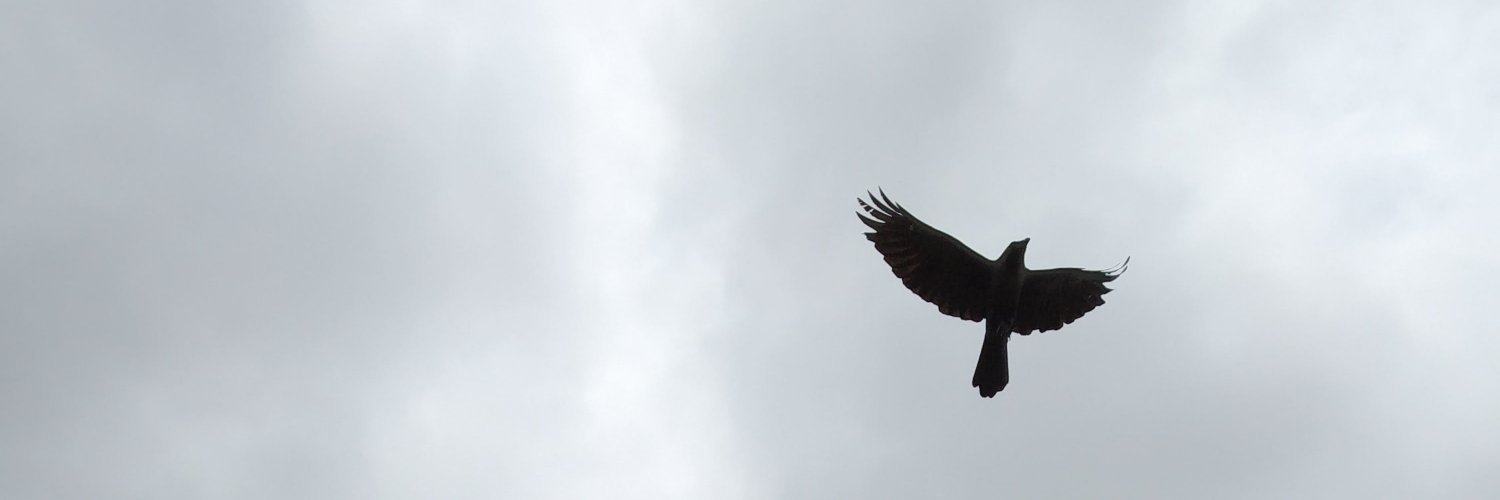 Chkm8er's profile banner image