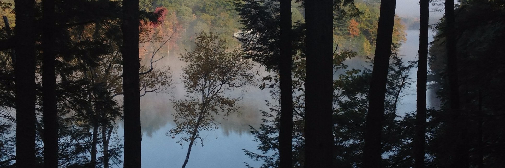 Deborah Dinner banner