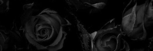 SnowBunnySam's profile banner image