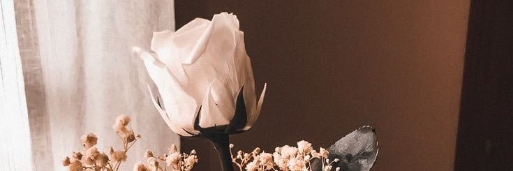 Jatupradipta's profile banner image