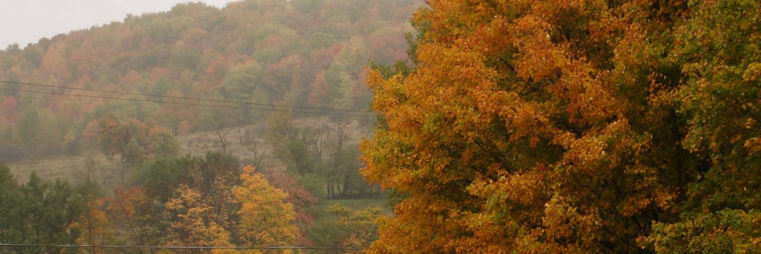 Rural Health Network banner