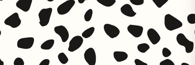 falsanegra's profile banner image