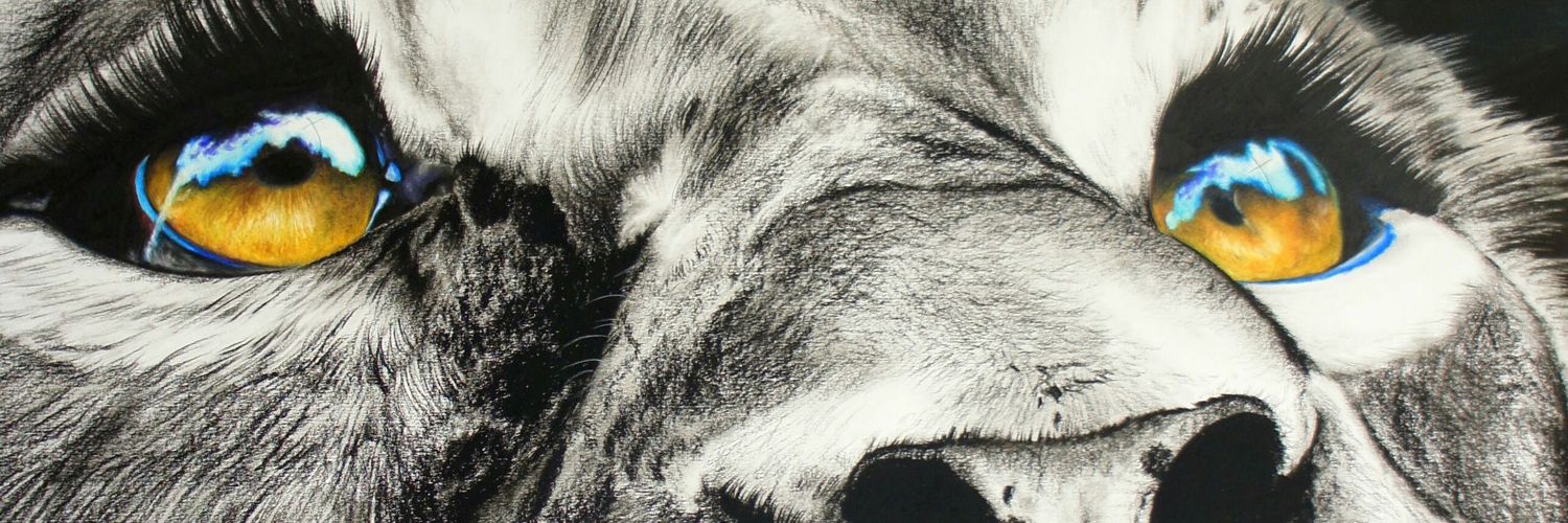 dcespedscabrera's profile banner image