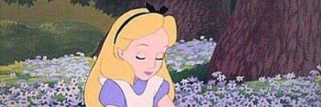 AliceUpson's profile banner image