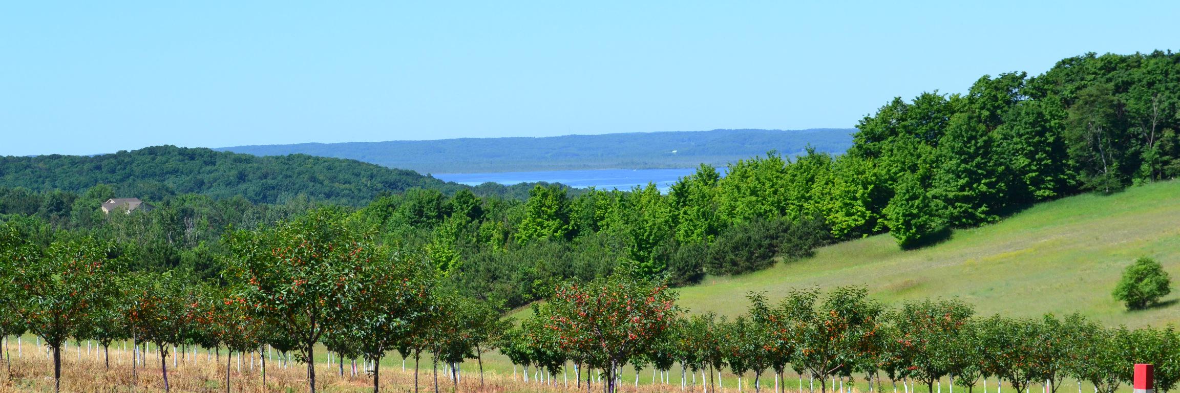 eatonrac's profile banner image