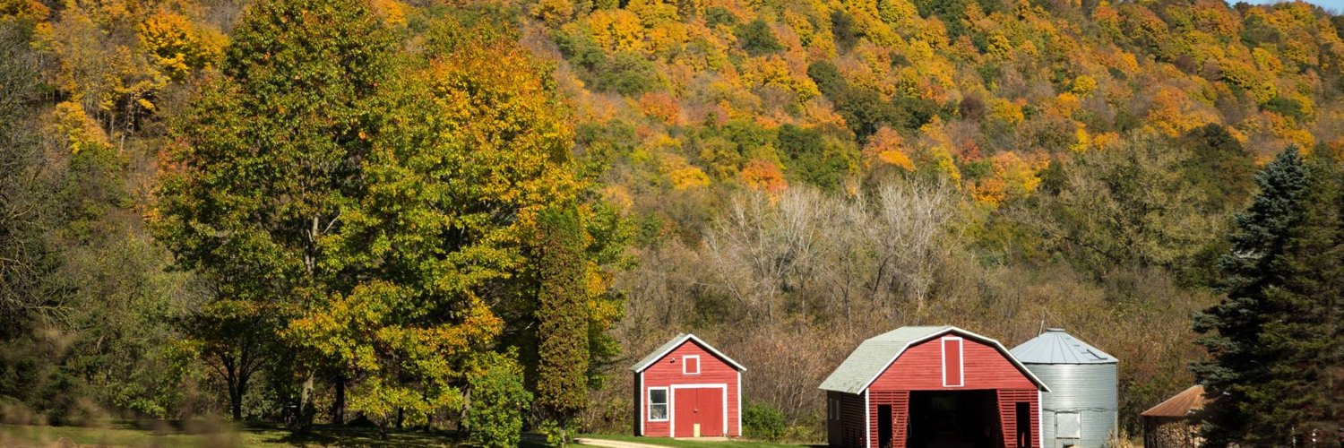 Jennifer Shilling banner