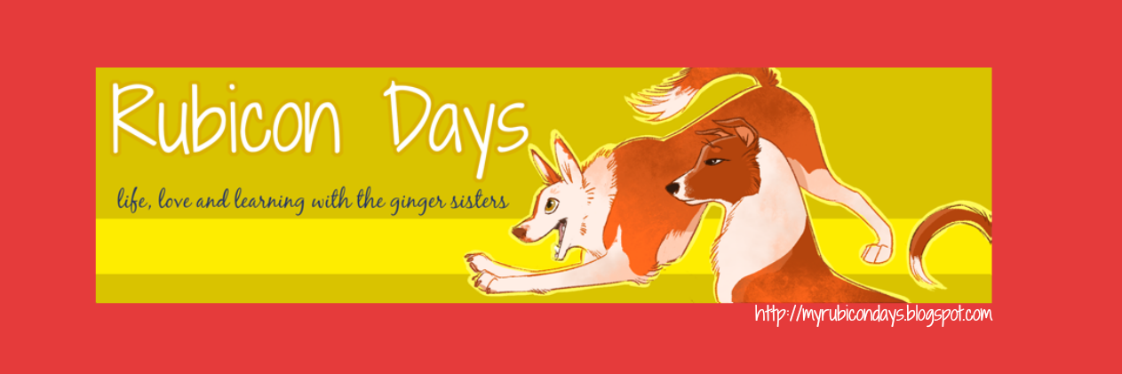 rubicondays's profile banner image