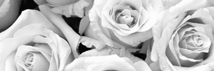longehannah's profile banner image