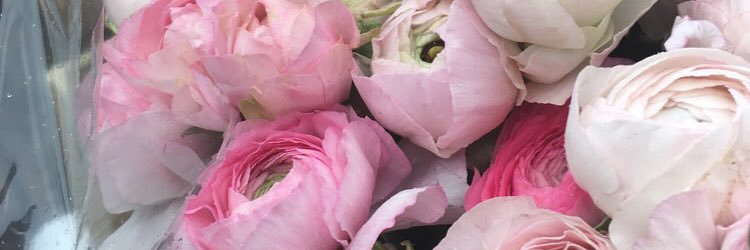 bri_sween's profile banner image