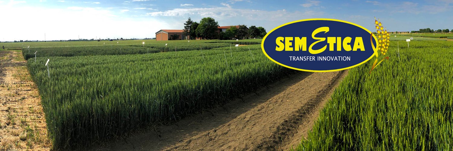 SEMETICAsrl's profile banner image