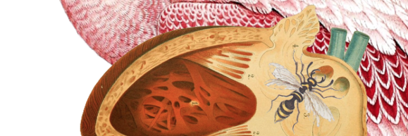 MIT Science Writing banner