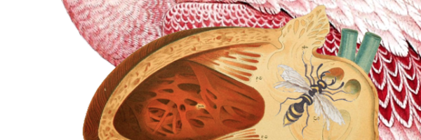 MIT_Sciwrite Profile Banner