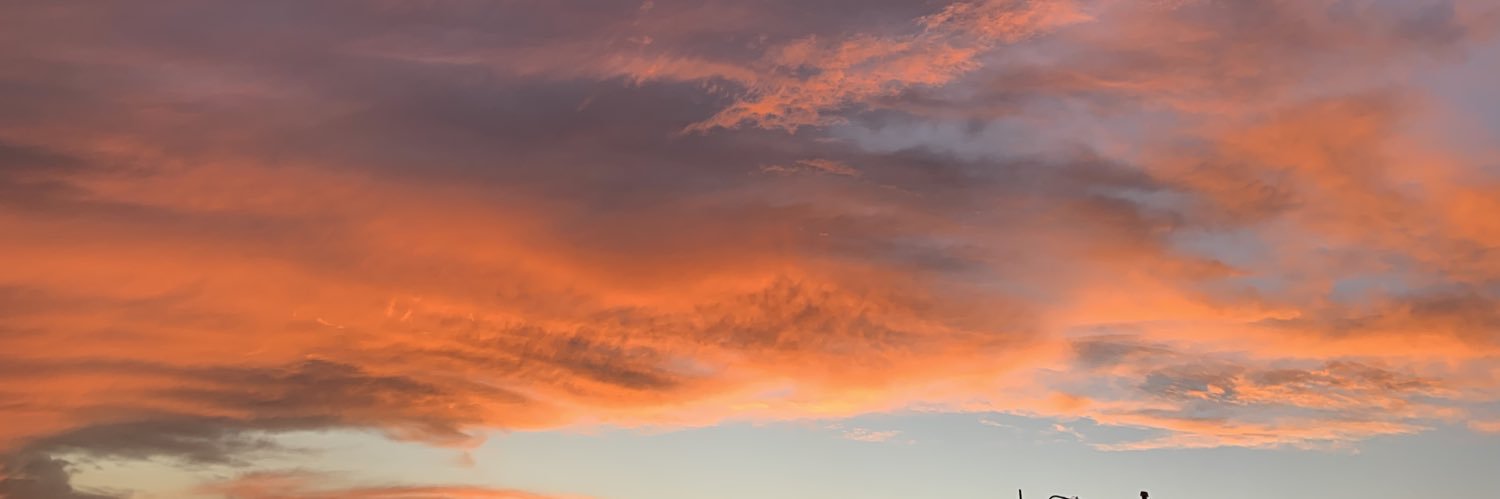 Srita. Veloz⚡️ banner