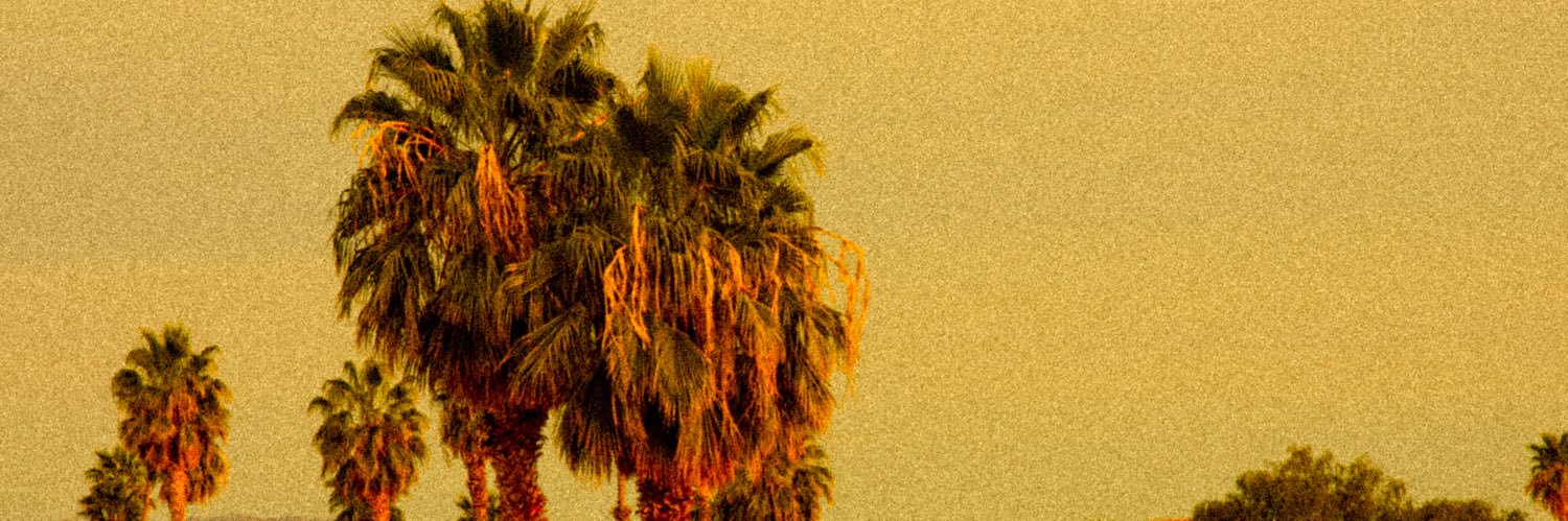 256Paradise's profile banner image