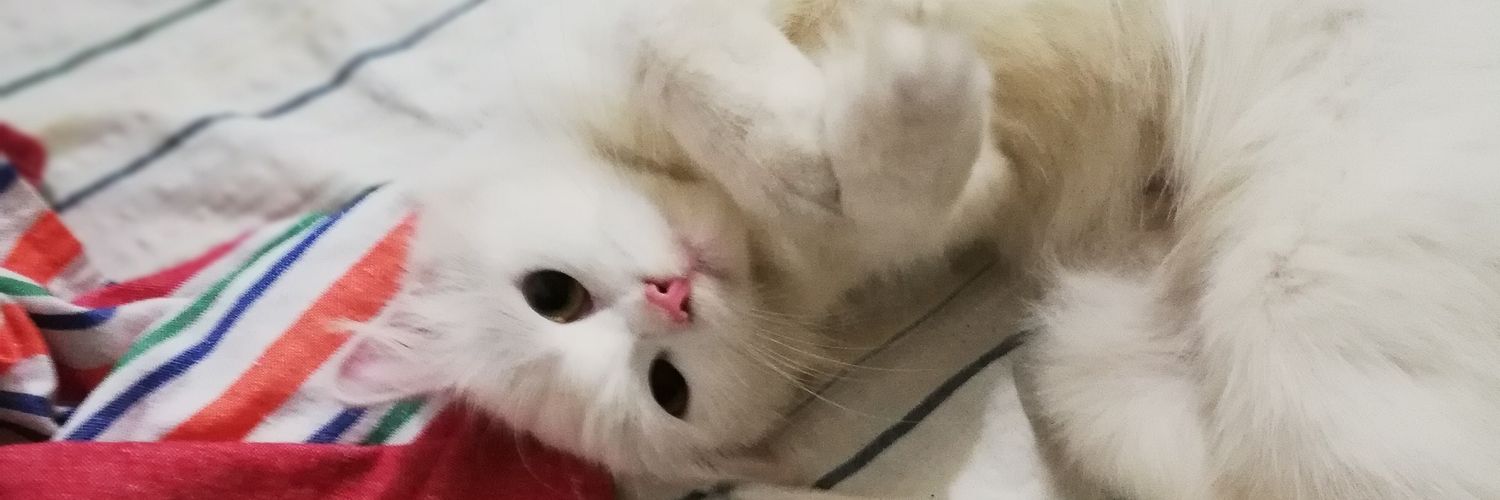 RaushanMohamed's profile banner image