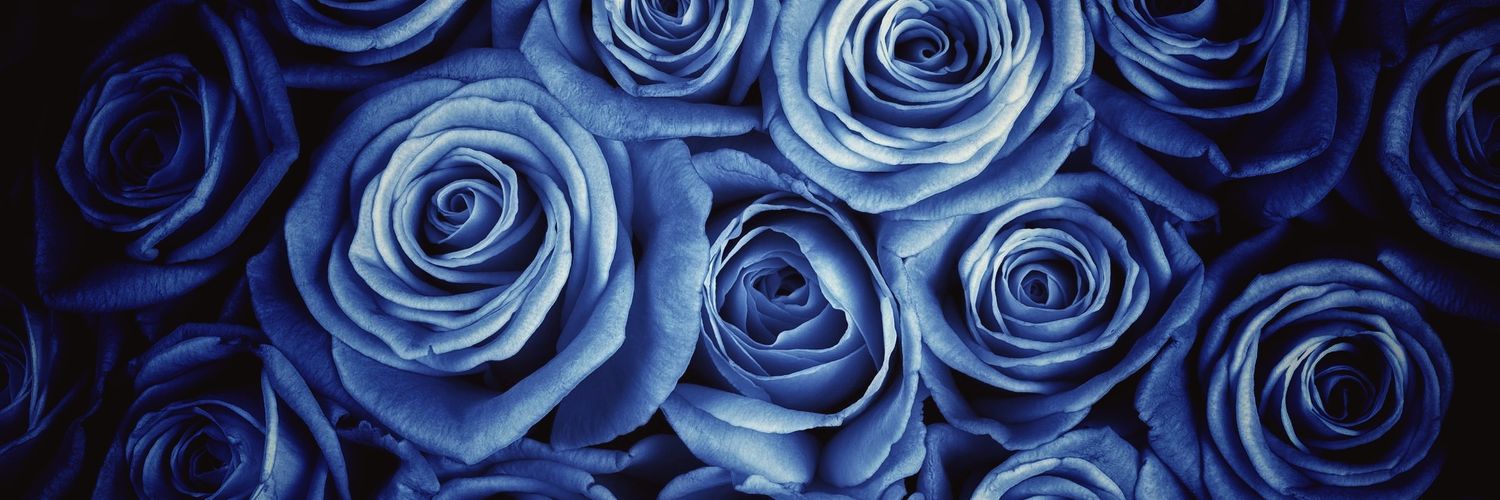 Nevada Adhara banner