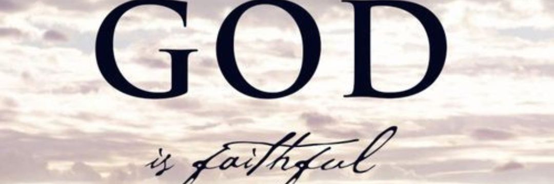 brownsugartee's profile banner image