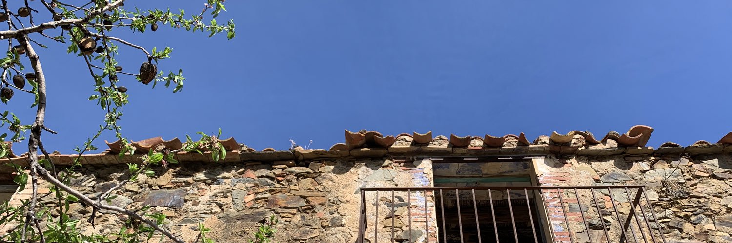 Queralt Solé banner