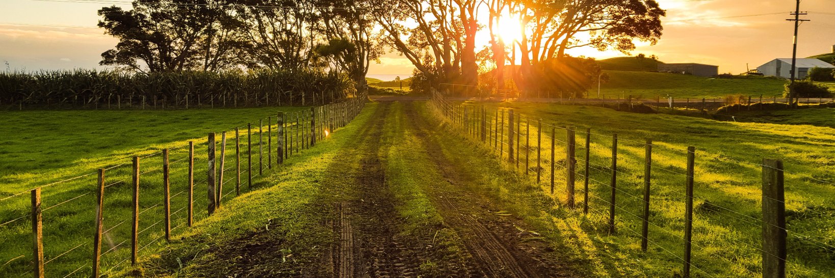 RealONFarmer's profile banner image