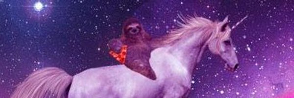 thatpingu_ Profile Banner