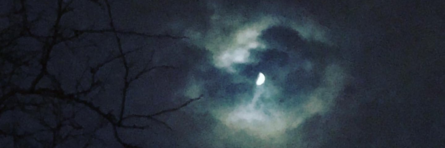 TanyaWBreck's profile banner image