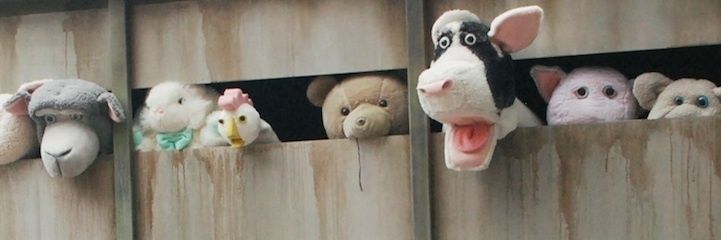 danielachvzm's profile banner image