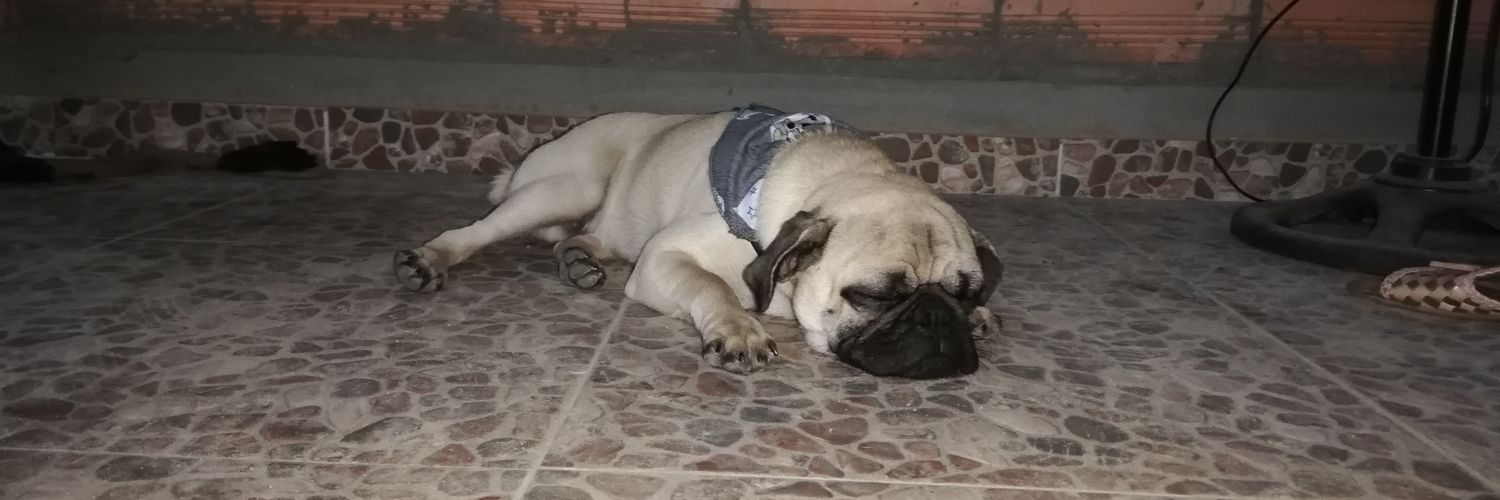cesarmapache's profile banner image