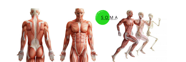 RodneyCorn Profile Banner