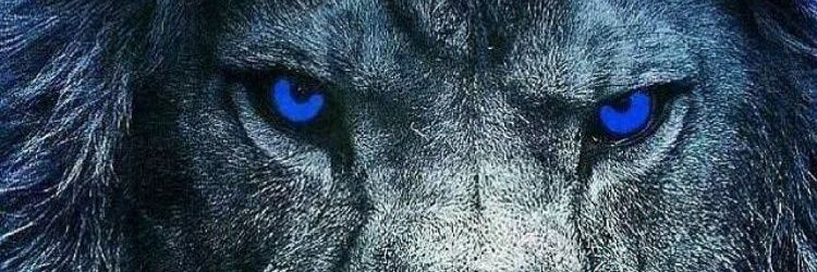 ArmandoJSierraS's profile banner image