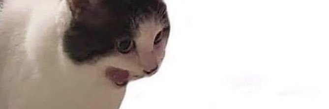 _this_is_em_'s profile banner image