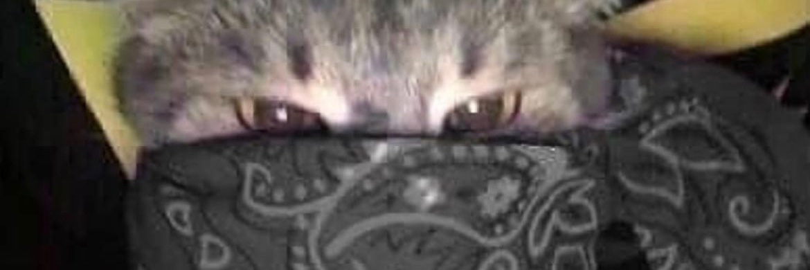 OSCORPSE_'s profile banner image
