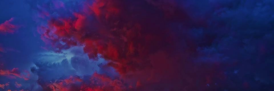 Wolfie banner