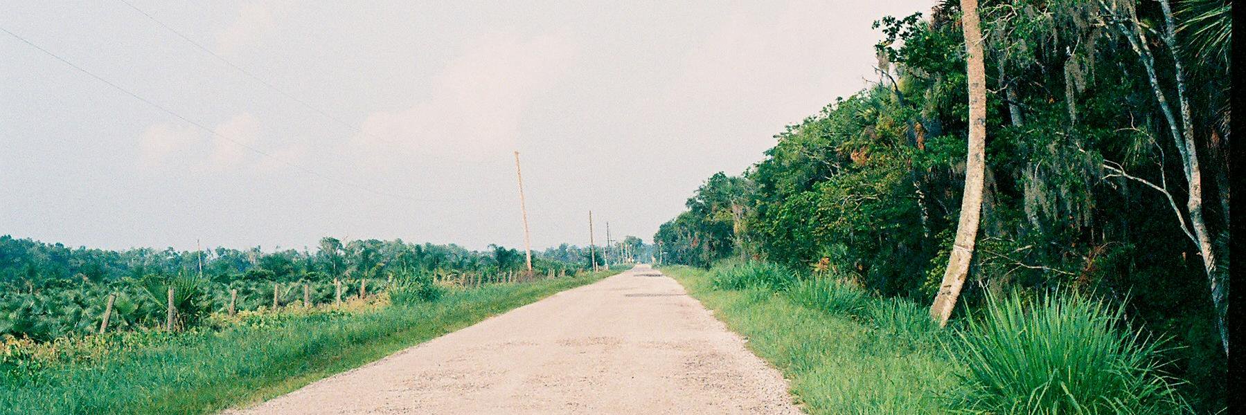 StephJHuman's profile banner image
