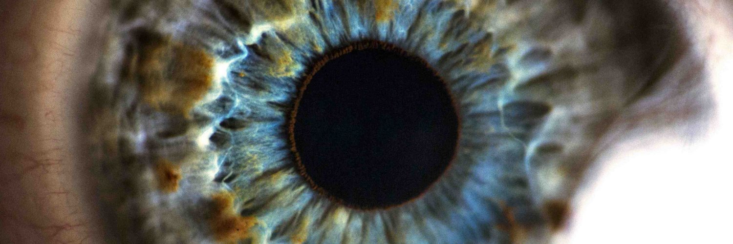 Michael John Warren - Director banner