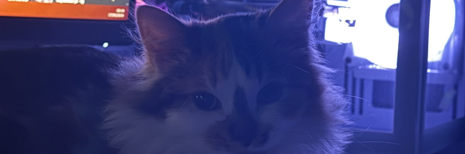 sofia 𖦹 ☼ ⋆｡˚⋆ฺ banner