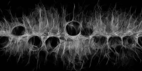 viaViLi banner