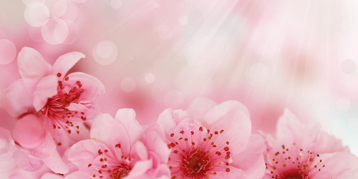 bylisad's profile banner image