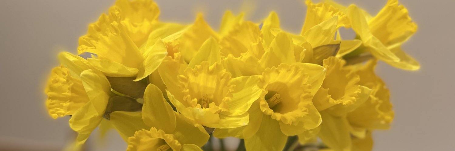 Lowri Wyn Bulman banner