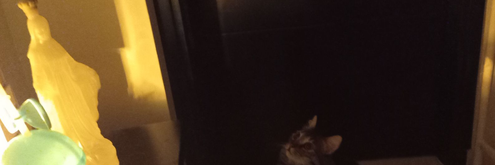 olgaluciablanc1's profile banner image
