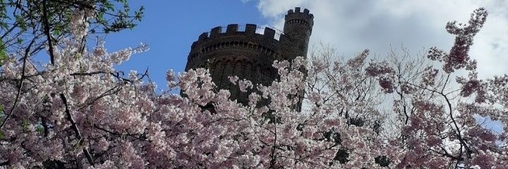 water tower teas banner