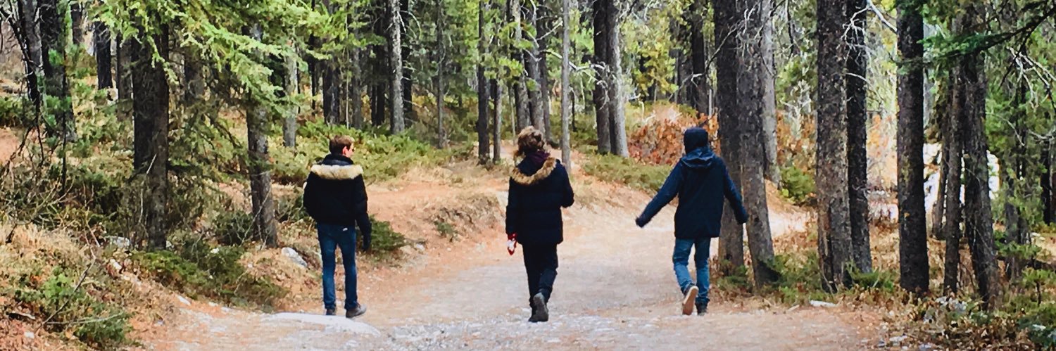brandonadam95's profile banner image
