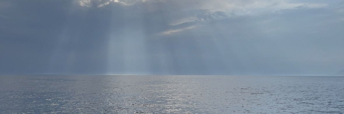 cerennnnw's profile banner image