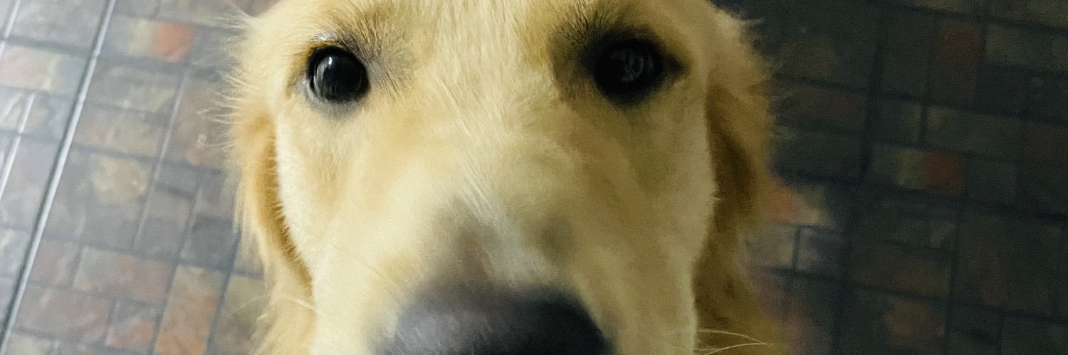 gelahtissimo's profile banner image