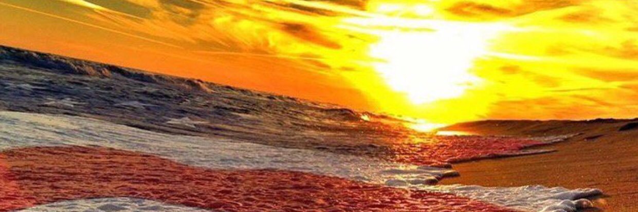 _Mr_Kennedy_'s profile banner image