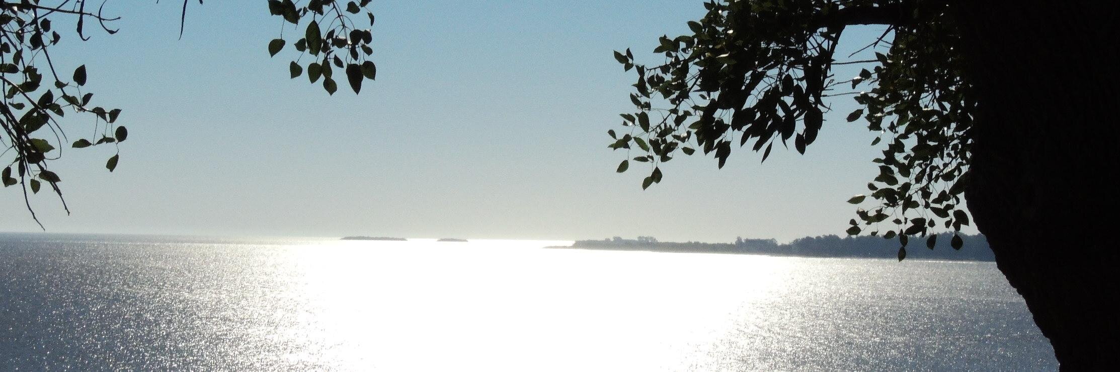 Carolina De Volder banner