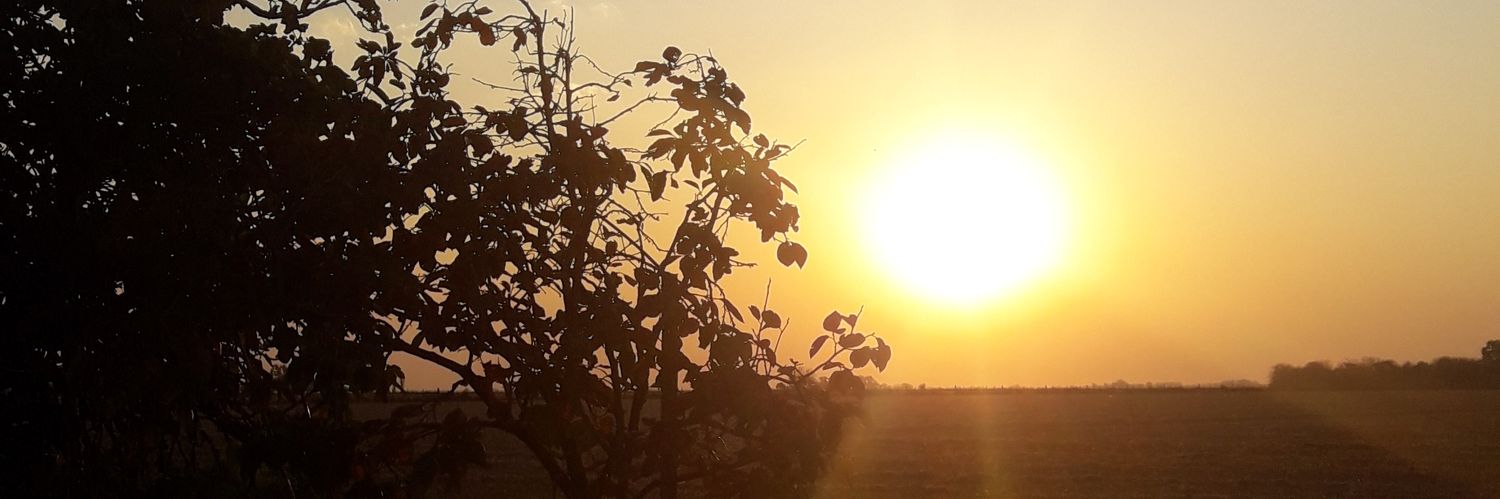 valestrappini's profile banner image