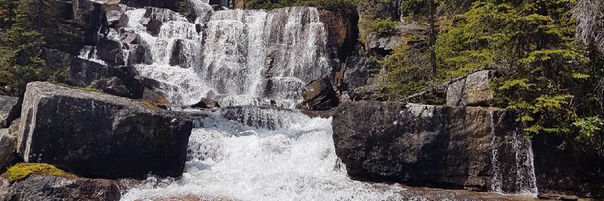 CrookRachelJ's profile banner image