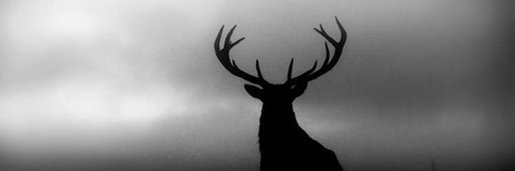 BurcinOvat's profile banner image
